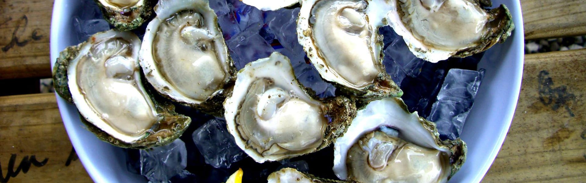 Fresh Dozen of Apalachicola Bay Oysters