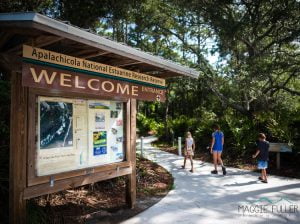 Visitors exploring Eastpoint Florida