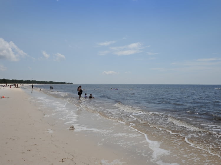 Discover Beautiful, Uncrowded Beaches on Florida's Forgotten Coast