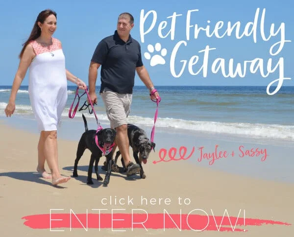 Pet Friendly Getaway